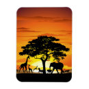 Buscar árbol de la vida imanes Paisaje