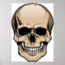 Buscar cráneo humano posters Huesos