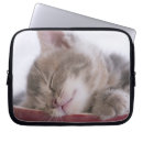 Buscar cuenco fundas Animal