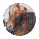 Buscar islandia tablas cortar Animal