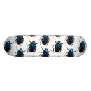 Buscar escarabajos tablas de skate Insectos