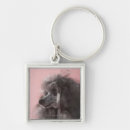 Buscar perro caniche llaveros Animal