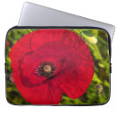 Buscar polen fundas Flor