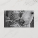 Buscar equino fotografía Amante de los caballos
