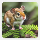 Buscar mouse pegatinas Roedor