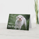 Buscar de boxer tarjetas Saludo