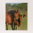 Buscar huesos del pie puzzles Caballos