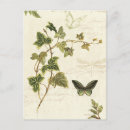 Buscar elementos naturales postales Decorativo