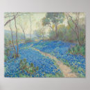 Buscar bluebonnets posters Azul