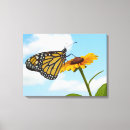 Buscar mariposa negra arte Femenino