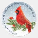 Buscar cardinal bird pegatinas Cardenal rojo