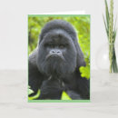 Buscar peste tarjetas General y unisex