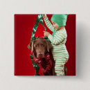 Buscar adorno chapas Animales