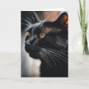 Buscar humor negro tarjetas General y unisex