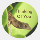 Buscar pensando pegatinas Estímulo