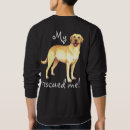 Buscar labrador retriever sudaderas Recuperador de labrador