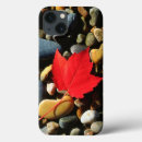 Buscar maine ipad fundas Danita delimont