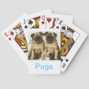 Buscar pug barajas de cartas Dog