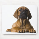 Buscar perro perrito alfombrillas de raton Animal