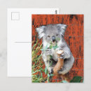 Buscar koalas postales Adorable