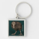 Buscar kiwi llaveros Pájaro