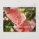 Buscar sweet postales General y unisex