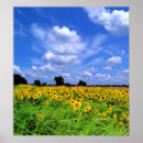 Buscar viento posters Granjas