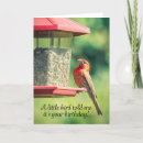 Buscar poop tarjetas Humor