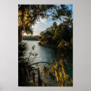 Buscar blue springs Florida