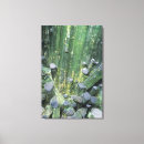 Buscar objeto natural posters Mineral
