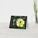 Buscar debajo fotografía Flor