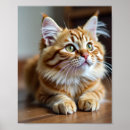 Buscar comadreja arte Adorable
