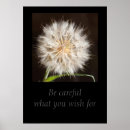 Buscar semillas posters Para ella