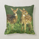 Buscar américa cojines Bosque