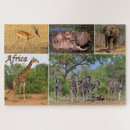 Buscar áfrica puzzles Animal