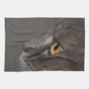 Buscar gatos paños de cocina Tabby