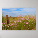 Buscar cosmo rosado posters General y unisex