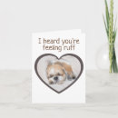 Buscar perro enfermo tarjetas Animar