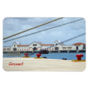 Buscar cozumel imanes Tropical