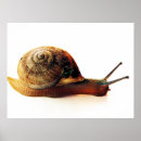 Buscar aislado posters Fotografía