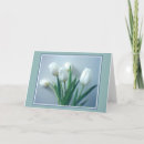 Buscar tulipanes blancos tarjetas Azul