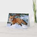 Buscar zorro rojo tarjetas Bosque