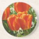 Buscar tulipán posavasos Naranja