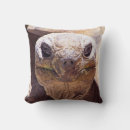 Buscar diseño de la tortuga cojines Animal