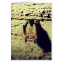 Buscar vampire fotografía Espantoso