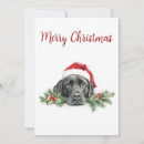 Buscar labrador retriever negro tarjetas Vacaciones