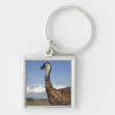 Buscar cuello llaveros Vida silvestre