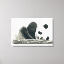 Buscar oso panda lienzos Lindo