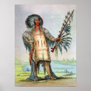 Buscar lobo indio posters India