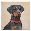 Buscar pinscher posters Negro